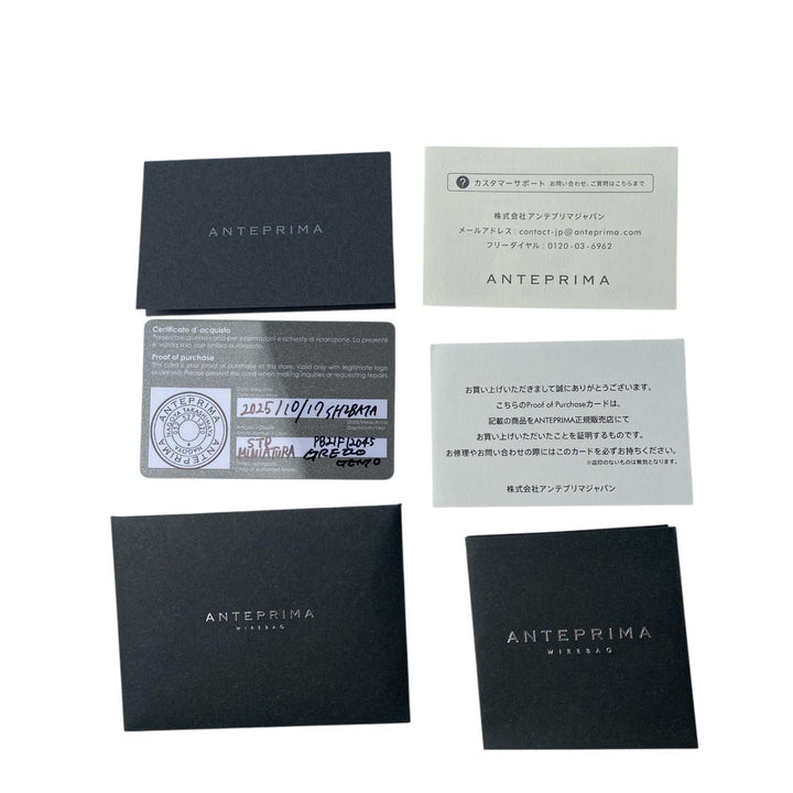 未使用 アンテプリマ ANTEPRIMA レディース ワイヤー 2way ショルダーバッグ ハンドバッグ ミニアトゥーラ PB21F12045 斜めがけ クロスボディ