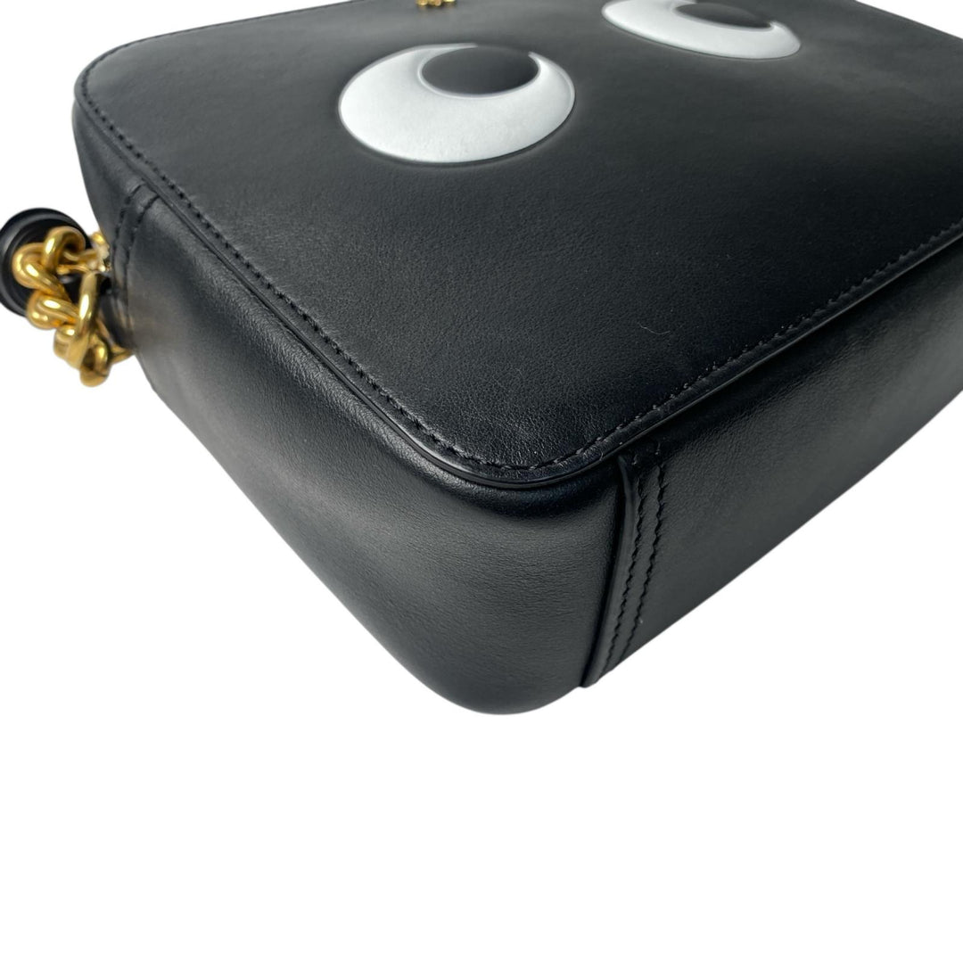 アニヤハインドマーチ AnyaHindmarch アイズ ショルダーバッグ カメラバッグ 斜めがけ クロスボディ レディース