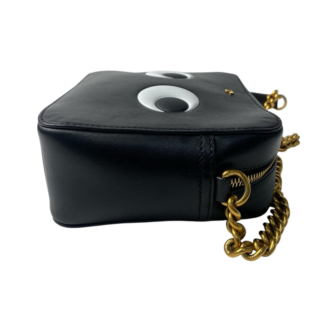 アニヤハインドマーチ AnyaHindmarch アイズ ショルダーバッグ カメラバッグ 斜めがけ クロスボディ レディース